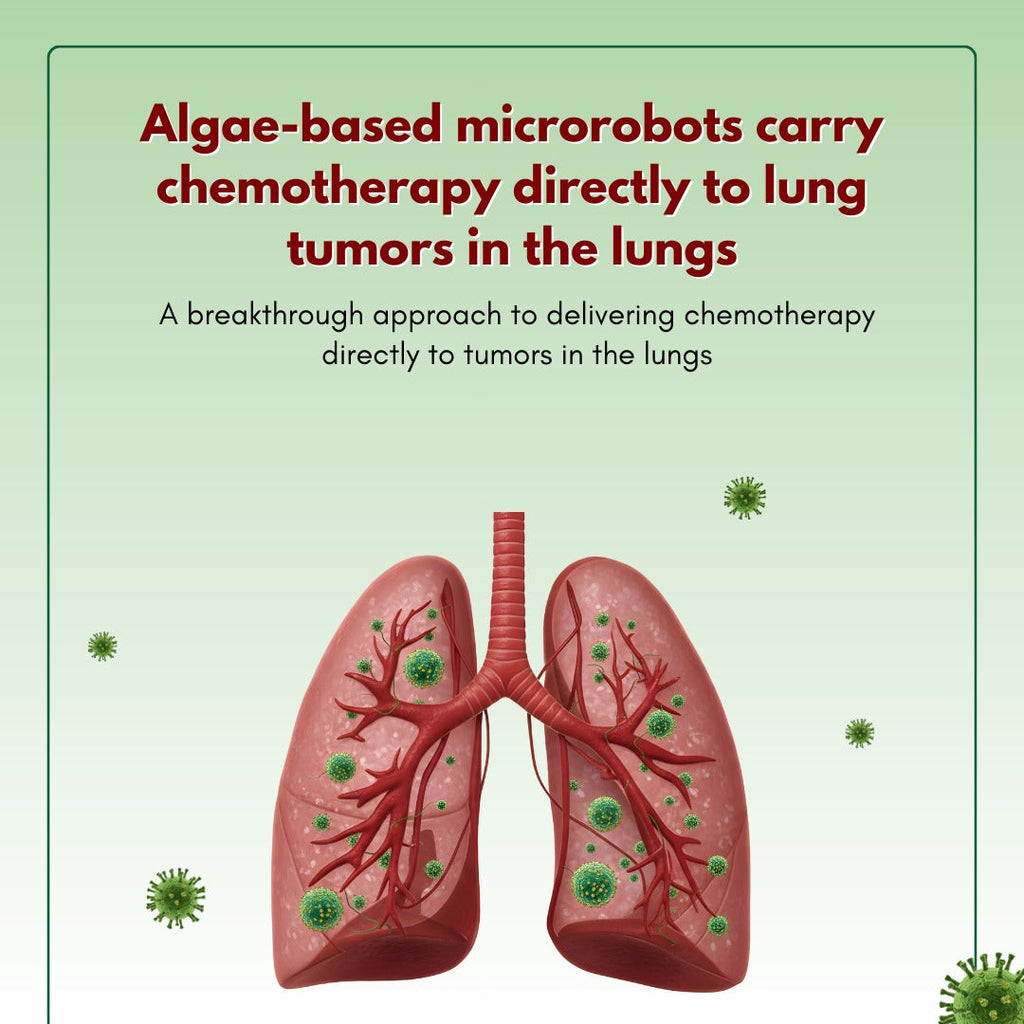 Microrobots Made Of Algae Carry Chemo Directly To Lung Tumors