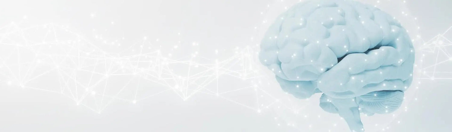 Nerve Health Supplements